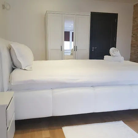 Luxury Ritmului